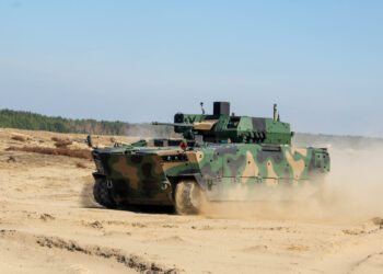 Borsuk ze&nbsp;Stalowej Woli wyróżniony we&nbsp;Francji