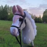 Zamkolandia o zawodach hobby horsingu 11 - Polskie Radio Rzeszów Zamkolandia o zawodach hobby horsingu - Polskie Radio Rzeszów