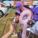 Zamkolandia o zawodach hobby horsingu 6 - Polskie Radio Rzeszów Zamkolandia o zawodach hobby horsingu - Polskie Radio Rzeszów