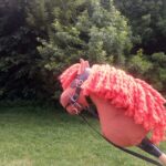 Zamkolandia o zawodach hobby horsingu 5 - Polskie Radio Rzeszów Zamkolandia o zawodach hobby horsingu - Polskie Radio Rzeszów