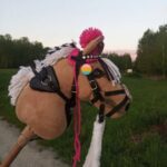 Zamkolandia o zawodach hobby horsingu 4 - Polskie Radio Rzeszów Zamkolandia o zawodach hobby horsingu - Polskie Radio Rzeszów