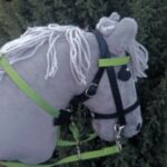 Zamkolandia o zawodach hobby horsingu 3 - Polskie Radio Rzeszów Zamkolandia o zawodach hobby horsingu - Polskie Radio Rzeszów