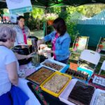 Krajowe Dni Pola za nami (relacje i zdjęcia) - Polskie Radio Rzeszów