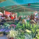 Krajowe Dni Pola w Boguchwale 11 - Polskie Radio Rzeszów Krajowe Dni Pola w Boguchwale - Polskie Radio Rzeszów