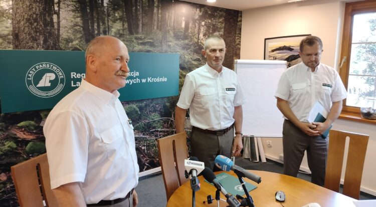 Negatywne opinie w sprawie wstrzymania wycinki drzew 1 - Polskie Radio Rzeszów Negatywne opinie w sprawie wstrzymania wycinki drzew