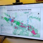 Negatywne opinie w sprawie wstrzymania wycinki drzew 3 - Polskie Radio Rzeszów Negatywne opinie w sprawie wstrzymania wycinki drzew - Polskie Radio Rzeszów