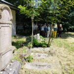 Spacer po żydowskim cmentarzu w Rzeszowie 11 - Polskie Radio Rzeszów Spacer po żydowskim cmentarzu w Rzeszowie - Polskie Radio Rzeszów