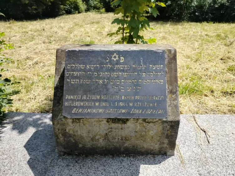 Spacer po żydowskim cmentarzu w Rzeszowie