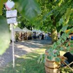 ESK za nami. Rzeszów znów pokazał swoją wielokulturowość - Polskie Radio Rzeszów