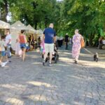 ESK za nami. Rzeszów znów pokazał swoją wielokulturowość - Polskie Radio Rzeszów