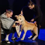 Spektakl Teatru Maska obejrzało w Chorwacji blisko 700 widzów 4 - Polskie Radio Rzeszów Spektakl Teatru Maska obejrzało w Chorwacji blisko 700 widzów - Polskie Radio Rzeszów