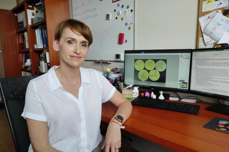 Właściwości grzybów a szczepy bakterii o oporności wielolekowej