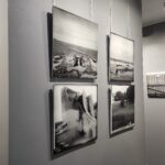 Fotografia drogi Anny Lewańskiej - Polskie Radio Rzeszów