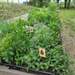 Nowe laboratoria Wyższej Szkoły Informatyki i Zarządzania 2 - Polskie Radio Rzeszów Nowe laboratoria Wyższej Szkoły Informatyki i Zarządzania - Polskie Radio Rzeszów