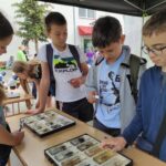 Piknik Nauki w Stobiernej - Polskie Radio Rzeszów