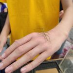 Piknik Nauki w Stobiernej - Polskie Radio Rzeszów