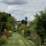 Działkowcy z Rzeszowa bronią ogrodów 9 - Polskie Radio Rzeszów Działkowcy z Rzeszowa bronią ogrodów - Polskie Radio Rzeszów