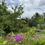 Działkowcy z Rzeszowa bronią ogrodów 4 - Polskie Radio Rzeszów Działkowcy z Rzeszowa bronią ogrodów - Polskie Radio Rzeszów