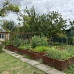 Działkowcy z Rzeszowa bronią ogrodów 6 - Polskie Radio Rzeszów Działkowcy z Rzeszowa bronią ogrodów - Polskie Radio Rzeszów