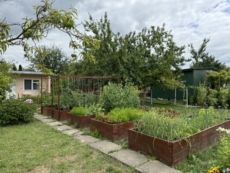 Działkowcy z Rzeszowa bronią ogrodów