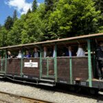 Bieszczadzka Kolejka Leśna z unijnym dofinansowaniem (zdjęcia, film) - Polskie Radio Rzeszów