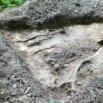 Poszukiwania szczątków żołnierzy na górze Chryszczata 12 - Polskie Radio Rzeszów Poszukiwania szczątków żołnierzy na górze Chryszczata - Polskie Radio Rzeszów