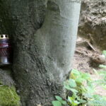 Poszukiwania szczątków żołnierzy na górze Chryszczata 8 - Polskie Radio Rzeszów Poszukiwania szczątków żołnierzy na górze Chryszczata - Polskie Radio Rzeszów