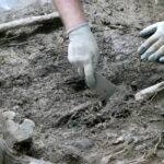 Poszukiwania szczątków żołnierzy na górze Chryszczata 6 - Polskie Radio Rzeszów Poszukiwania szczątków żołnierzy na górze Chryszczata - Polskie Radio Rzeszów