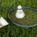 badminton 1428046 1280