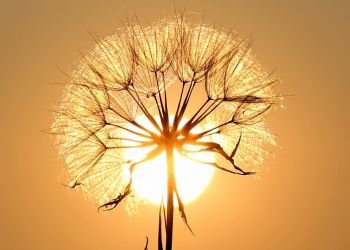 Nadchodzą upały. W&nbsp;regionie nawet 33 st. na&nbsp;plusie