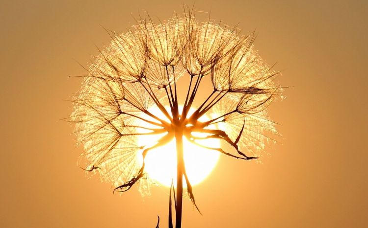 Nadchodzą upały. W regionie nawet 33 st. na plusie