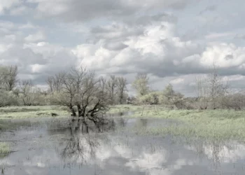 Deszcz, wiatr, podtopienia w&nbsp;całym kraju