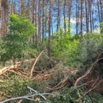 Trąba powietrzna przeszła w nocy nad gminą Kuryłówka - Polskie Radio Rzeszów