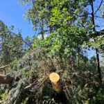 Trąba powietrzna przeszła w nocy nad gminą Kuryłówka - Polskie Radio Rzeszów