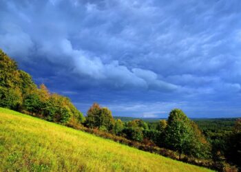 Atrakcje Festiwalu Kraina Roztocze