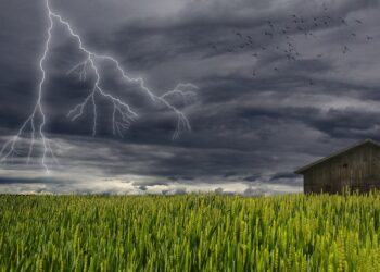 Burze w&nbsp;regionie. Pożar domu od&nbsp;uderzenia pioruna, awarie sieci
