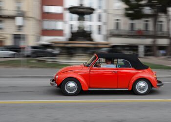 22 czerwca – Światowy Dzień Garbusa