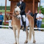 Rozpoczęły się III Wydrzańskie Spotkania Jeździeckie 8 - Polskie Radio Rzeszów Rozpoczęły się III Wydrzańskie Spotkania Jeździeckie - Polskie Radio Rzeszów