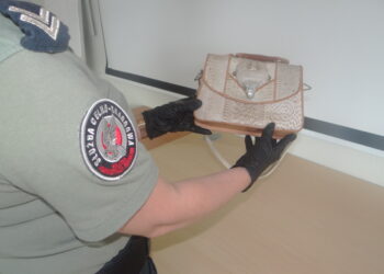 Ukrainka próbowała przemycić torebkę ze&nbsp;skóry kobry