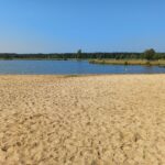 W zalewie w Brzózie Królewskiej zakwitły sinice. Zakaz kąpieli - Polskie Radio Rzeszów