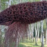 Kolejne instalacje z wikliny w arboretum w Bolestraszycach 2 - Polskie Radio Rzeszów Kolejne instalacje z wikliny w arboretum w Bolestraszycach - Polskie Radio Rzeszów