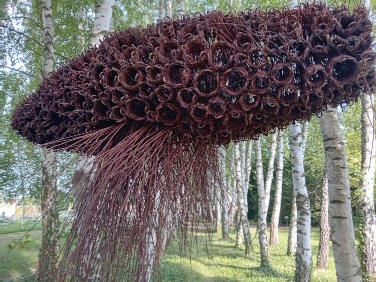 Kolejne instalacje z wikliny w arboretum w Bolestraszycach