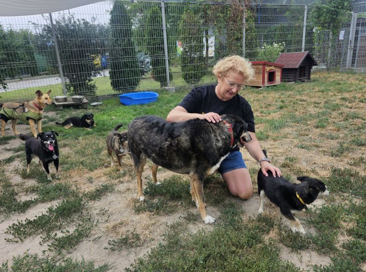 Dzień otwarty w mieleckim schronisku