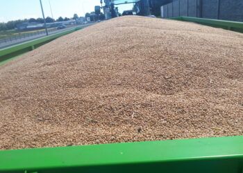 Żniwa na&nbsp;Podkarpaciu