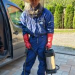 Plaga os i szerszeni w regionie - Polskie Radio Rzeszów