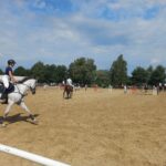 Zawody jeździeckie w Głogowie Małopolskim 2 - Polskie Radio Rzeszów Zawody jeździeckie w Głogowie Małopolskim - Polskie Radio Rzeszów