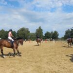 Zawody jeździeckie w Głogowie Małopolskim 5 - Polskie Radio Rzeszów Zawody jeździeckie w Głogowie Małopolskim - Polskie Radio Rzeszów