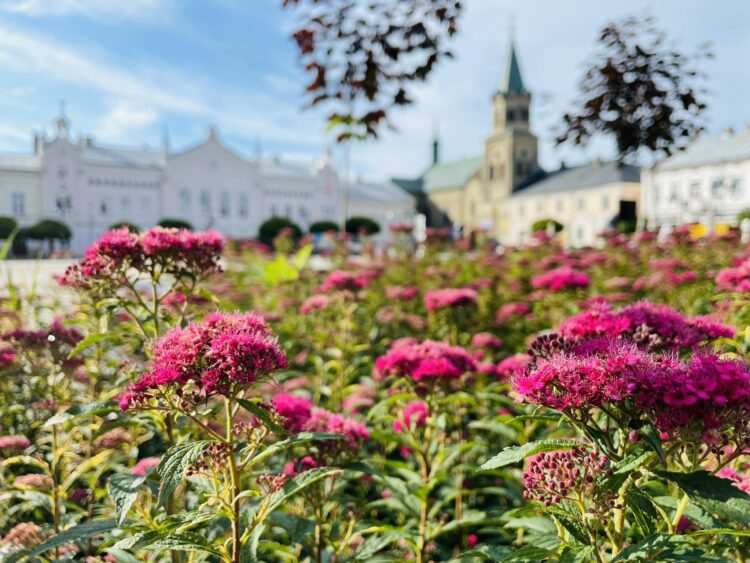 Sanok upamiętni przedsiębiorców okresu międzywojennego