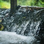 Radio Biwak w Horyńcu-Zdroju (fotogaleria) 2 - Polskie Radio Rzeszów Radio Biwak w Horyńcu-Zdroju (fotogaleria) - Polskie Radio Rzeszów