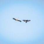 Radio Biwak "kręciło się" po Jaśliskach (fotogaleria) 79 - Polskie Radio Rzeszów Radio Biwak "kręciło się" po Jaśliskach (fotogaleria) - Polskie Radio Rzeszów